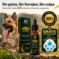 Pets Vision™ | Gotas Orales para una Visión Clara y Saludable