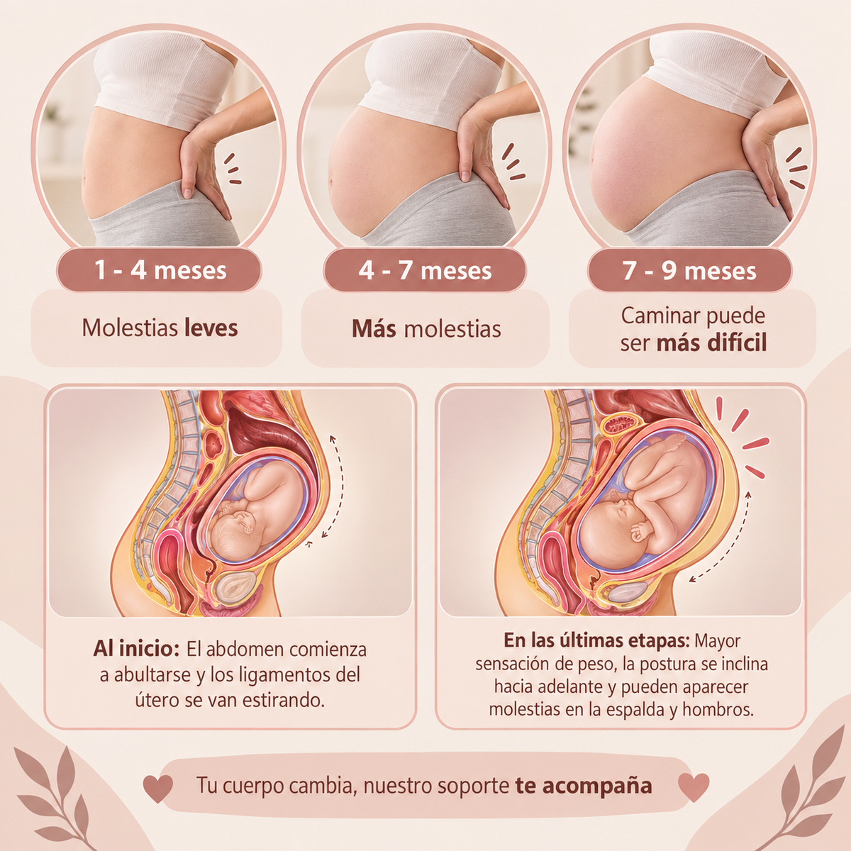Amora™ | Faja de Soporte para Embarazo | Alivia la Presión y el Peso en tu Espalda